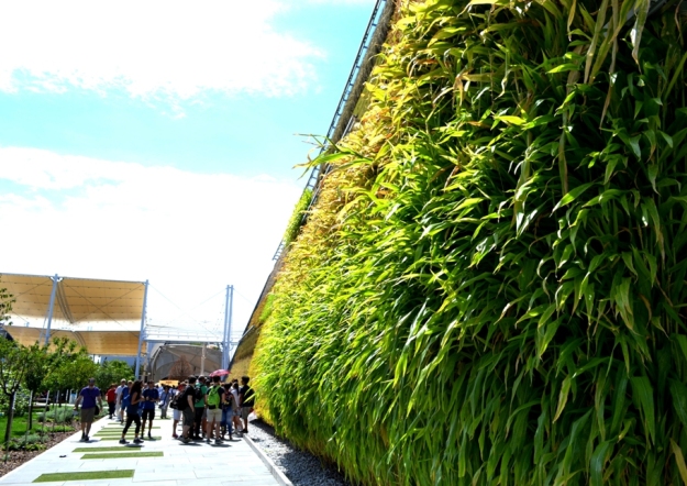 Nadia Mikushova. Israel EXPO Milano 2015 vertical garden.s